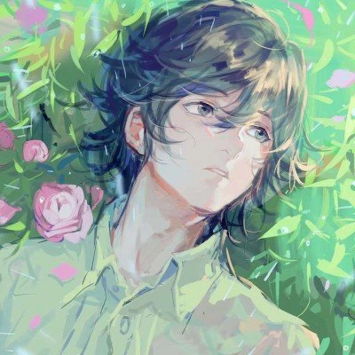 武大回应游客爬树拍照